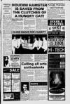 East Kilbride News Friday 14 January 1994 Page 3