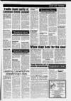 East Kilbride News Friday 24 February 1995 Page 31