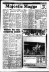 South Wales Daily Post Tuesday 18 July 1989 Page 33
