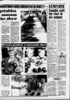 South Wales Daily Post Monday 27 August 1990 Page 13