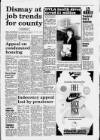 South Wales Daily Post Friday 21 September 1990 Page 3