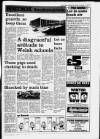South Wales Daily Post Friday 16 November 1990 Page 23