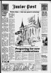 South Wales Daily Post Saturday 29 December 1990 Page 17