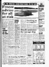 South Wales Daily Post Saturday 09 February 1991 Page 3