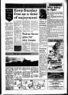 South Wales Daily Post Tuesday 12 February 1991 Page 11