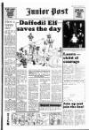 South Wales Daily Post Saturday 02 March 1991 Page 17