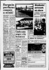 South Wales Daily Post Tuesday 24 November 1992 Page 13