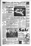 South Wales Daily Post Friday 01 January 1993 Page 7