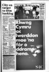 South Wales Daily Post Saturday 02 January 1993 Page 13