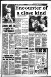 South Wales Daily Post Tuesday 12 January 1993 Page 35