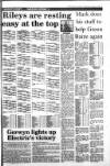 South Wales Daily Post Wednesday 13 January 1993 Page 25