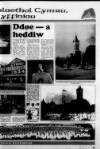 South Wales Daily Post Tuesday 22 June 1993 Page 35