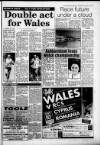 South Wales Daily Post Wednesday 04 August 1993 Page 35