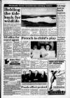 South Wales Daily Post Tuesday 24 August 1993 Page 15