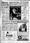 South Wales Daily Post Tuesday 11 January 1994 Page 19