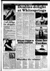 South Wales Daily Post Thursday 13 January 1994 Page 49