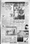 South Wales Daily Post Tuesday 18 January 1994 Page 21