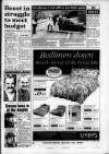 South Wales Daily Post Thursday 20 January 1994 Page 15