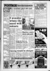 South Wales Daily Post Thursday 20 January 1994 Page 23
