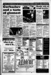 South Wales Daily Post Thursday 20 January 1994 Page 33