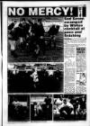 South Wales Daily Post Monday 24 January 1994 Page 31