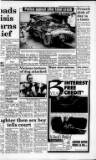 South Wales Daily Post Tuesday 25 January 1994 Page 3