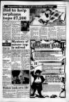 South Wales Daily Post Saturday 29 January 1994 Page 13