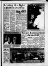 South Wales Daily Post Friday 04 February 1994 Page 19