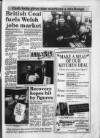 South Wales Daily Post Thursday 17 February 1994 Page 13