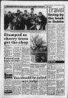 South Wales Daily Post Saturday 19 February 1994 Page 5