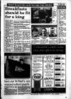 South Wales Daily Post Thursday 17 March 1994 Page 17