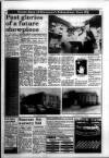 South Wales Daily Post Tuesday 22 March 1994 Page 15