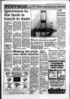 South Wales Daily Post Tuesday 22 March 1994 Page 19