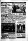 South Wales Daily Post Wednesday 23 March 1994 Page 17