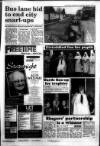 South Wales Daily Post Wednesday 23 March 1994 Page 29