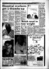 South Wales Daily Post Friday 25 March 1994 Page 13