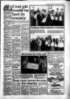 South Wales Daily Post Friday 25 March 1994 Page 21