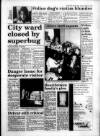 South Wales Daily Post Tuesday 29 March 1994 Page 3