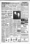 South Wales Daily Post Wednesday 13 April 1994 Page 19