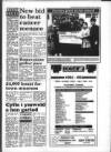 South Wales Daily Post Thursday 14 April 1994 Page 13