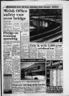 South Wales Daily Post Friday 24 June 1994 Page 17