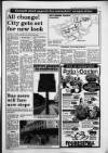 South Wales Daily Post Thursday 30 June 1994 Page 19