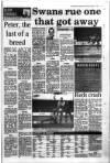 South Wales Daily Post Tuesday 03 January 1995 Page 31