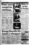 South Wales Daily Post Thursday 12 January 1995 Page 37