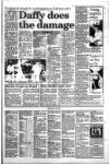 South Wales Daily Post Monday 30 January 1995 Page 27