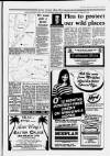 Burry Port Star Thursday 01 November 1990 Page 15