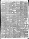 Southern Weekly News Saturday 20 January 1877 Page 3