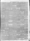 Southern Weekly News Saturday 20 January 1877 Page 7