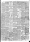 Southern Weekly News Saturday 17 February 1877 Page 5