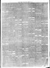 Southern Weekly News Saturday 24 February 1877 Page 7